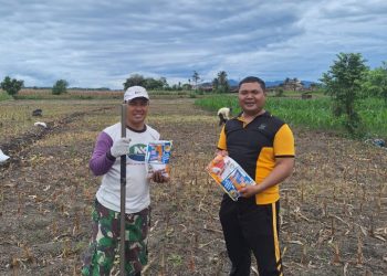 Dukung Program Pemerintah, Polsek Siantar Marihat Sambangi Warga Tanam Jagung di Perladangan.