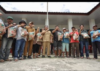 Wali Kota Pematangsiantar Wesly Silalahi, SH, MKn Berikan Bantuan Benih Padi Unggul Inpari 32 Label Ungu Kepada Kelompok Tani di 2 Kecamatan.