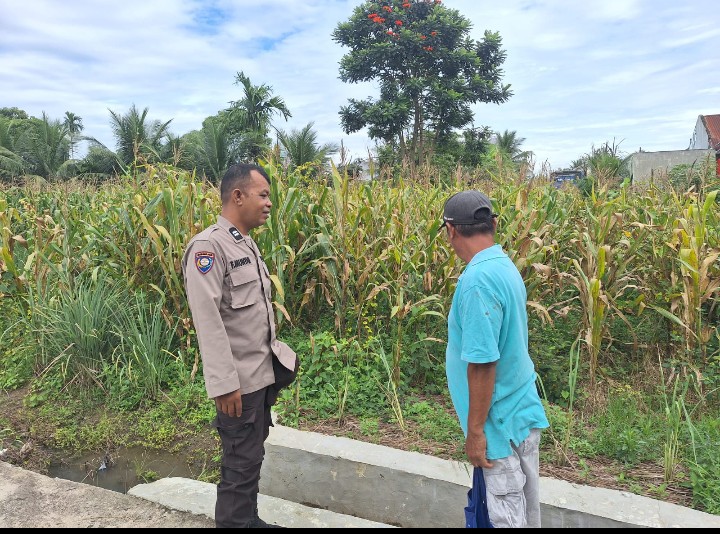 Dukung Ketapang, Polsek Siantar Marihat Sambangi Warga Bersihkan Lahan Jagung.