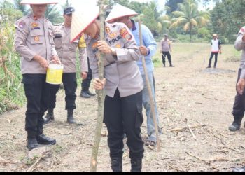 Kapolres Pematangsiantar Bersama PJU Tanam Jagung Dukung Program Ketapang Polri.