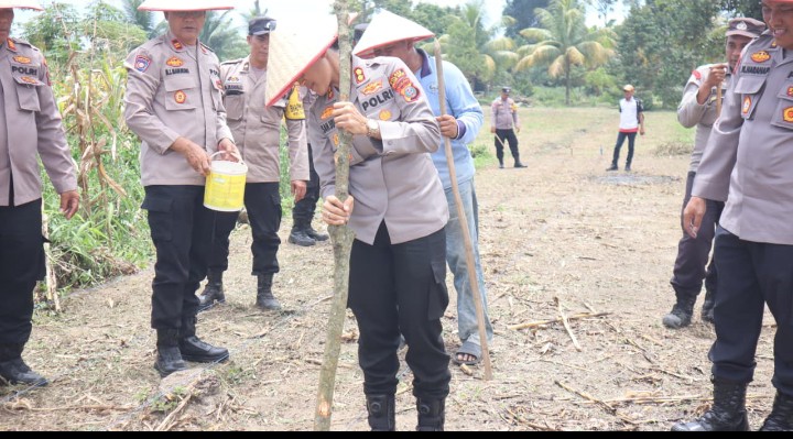 Kapolres Pematangsiantar Bersama PJU Tanam Jagung Dukung Program Ketapang Polri.