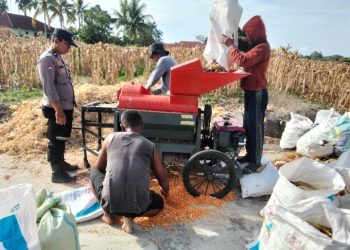 Dukung Ketapang, Polsek Siantar Marihat Sambangi Warga Panen Jagung.