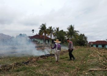 Dukung Ketapang, Kapolsek Siantar Marihat Bersama Bhabinkamtibmas Bersihkan Lahan Jagung.