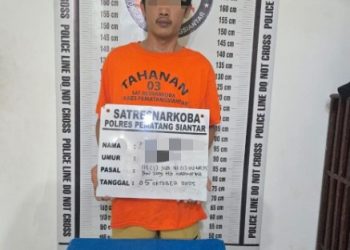 Polres Pematangsiantar Berhasil Mengamankan Pemiliki Ganja 72.56 Gram di Ladang.