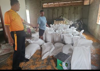 Polsek Tanah Jawa Sukseskan Program Ketahanan Pangan, Serap 5 Ton Jagung Petani Untuk Bulog.
