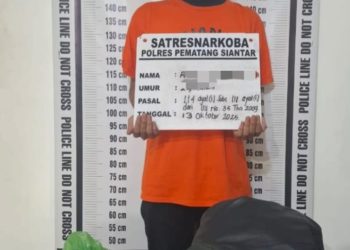 Dari Dalam Gubuk , Polres Pematangsiantar Amankan Pemilik 230 Gram Ganja.