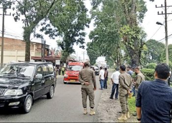 Forkopimca Siantar & Instansi Terkait Tertibkan Pohon Rawan Tumbang di Jalur Vital Kecamatan Siantar.