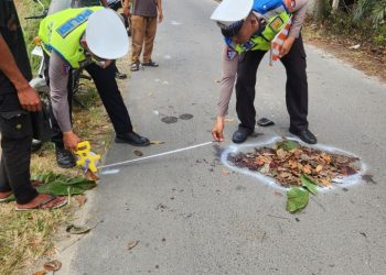 Kanit Gakkum Sat Lantas Polres Simalungun Tangani Laka Lantas Maut : Pengendara Motor Tewas Tergilas Truk Saat Menyalip.