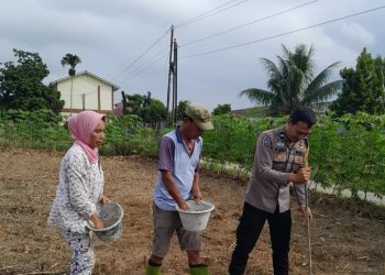 Dukung Ketapang, Bhabinkamtibmas Polsek Siantar Utara Sambangi Lahan Warga Binaan di Jalan Haranggaol.
