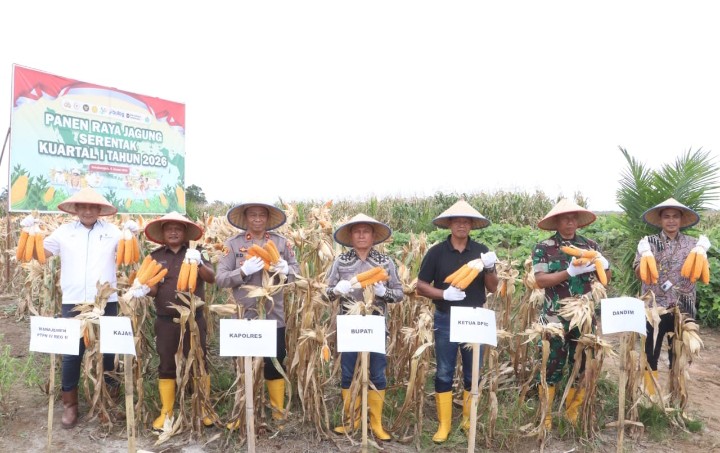 Kapolri Zoom Call Panen Jagung, Polres Simalungun Gelar Panen Raya Serentak 12 Hektar, Jenderal Listyo : "Polri Penggerak Ekonomi Petani".