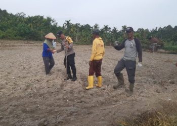 Bhabinkamtibmas Polsek Siantar Utara Serahkan Bibit Jagung Bantuan Polres Pematangsiantar Kepada Warga Binaan.