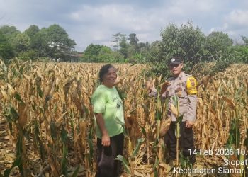 Dukung Ketapang, Bhabinkamtibmas Polsek Siantar Timur Sambangi Warga Binaan.