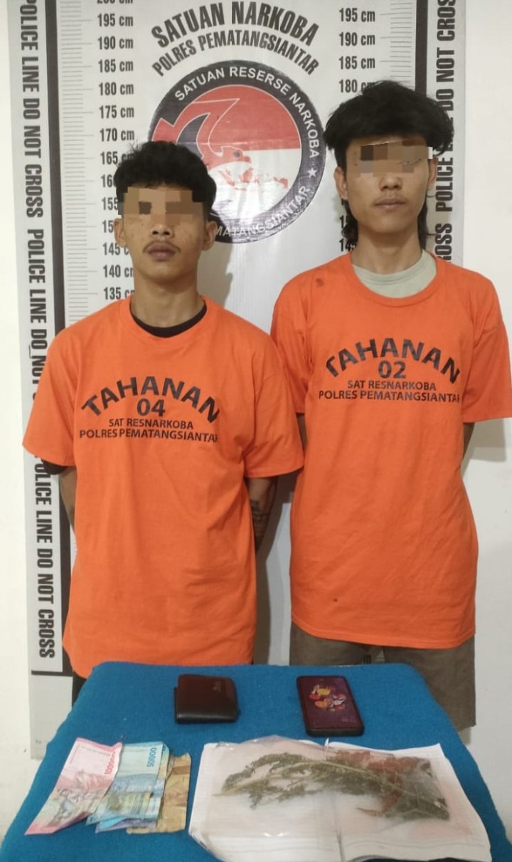 Polres Pematangsianțar Berhasil Ungkap Pemilik Ganja 15, 50 Gram.