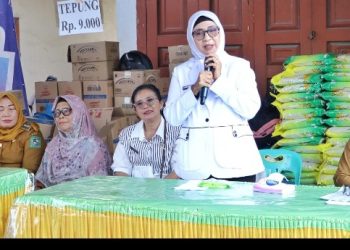 Jaga Stabilitas Pasokan & Harga Pangan Jelang HBKN, Pemkab Simalungun Gelar Kegiatan GPM.