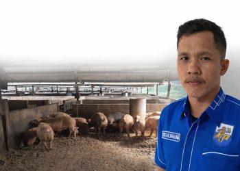 Sekretaris DPD KNPI Simalungun, Edis Galingging.