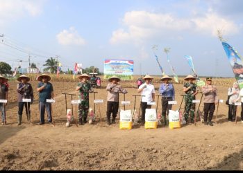 Polri Turun Ke Sawah! Polres Simalungun Ikut Tanam Jagung Serentak, Wujud Nyata Dukung Swasembada Pangan Nasional.