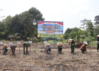 Kapolres Polres Pematangsiantar Bersama Forkopimda Tanam Jagung Serentak Kuartal 1 Tahun 2026.