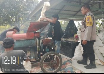 Dukung Swasembada Pangan, Bhabinkamtibmas Polsek Siantar Barat Sambangi Ladang Jagung Warga Binaan.