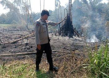 Sigap, Polsek Bangun Polres Simalungun Tangani Kebakaran Lahan 4 Hektare, Kapolres Himbau Warga Waspadai Karhutla di Musim Panas.