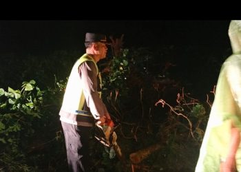 Reaksi Cepat Polsek Tanah Jawa! Tengah Malam Langsung Bersihkan Pohon Tumbang, Jalan Lancar Kembali.