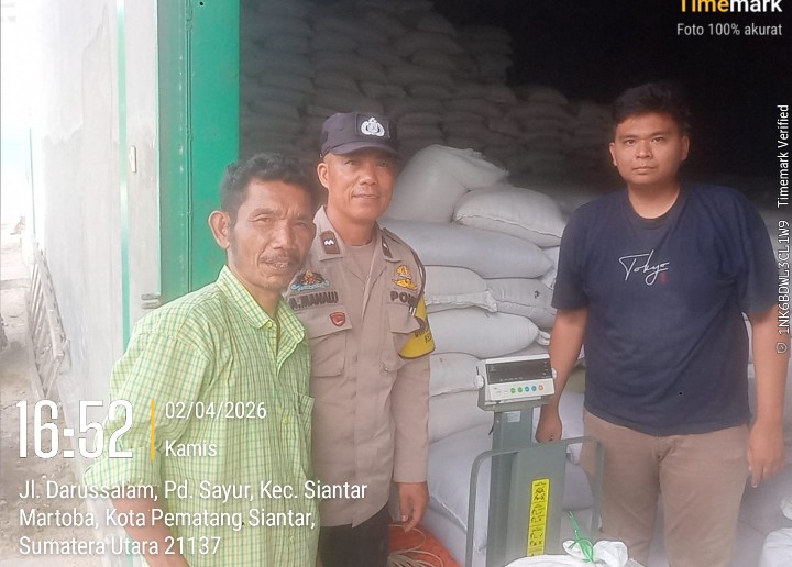 Polsek Siantar Marihat Dampingi Penjualan Jagung Petani Binaan Ke Bulog Pematangsiantar.