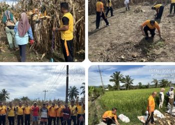 Kapolsek Tanah Jawa Pimpin Langsung Apel Korve Panen Raya Jagung Serentak Kuartal II 2026, Polri Hadir Nyata di Tengah Masyarakat Tani.