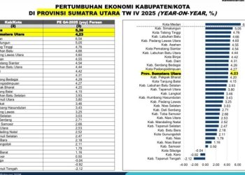 Kabupaten Simalungun Berada di Kluster Performa Menengah Atas dengan Skor 3,56, Siap Melangkah ke Tingkat Tertinggi.