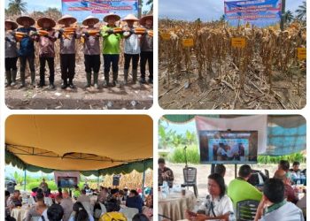 Dipimpin Langsung Presiden Prabowo secara Virtual, Polres Simalungun Sukseskan Panen Raya Jagung Serentak Kuartal II 2026 di Nagori Muara Mulia.