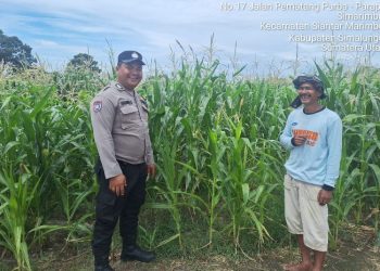 Bhabinkamtibmas Polsek Siantar Marihat Sambangi Petani Binaan.