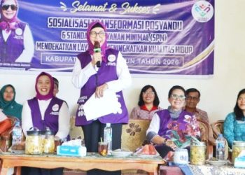Ketua Tim Pembina Posyandu Kabupaten Simalungun : Posyandu Sudah Bertransformasi Pelayanan 6 Siklus Hidup.