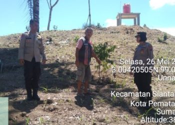 Dukung Ketapang, Kapolsek Siantar Utara Monitoring Lahan Jagung Petani Binaannya.