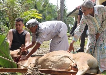 Polres Pematangsiantar Laksanakan Penyembelihan Hewan Kurban Idul Adha 1447 H.