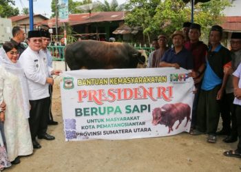 Wali Kota Pematangsiantar Wesly Silalahi, SH, MKn Serahkan Seekor Sapi Kurban Dari Presiden Prabowo Subianto ke Masjid Amaliyah di Kelurahan Gurilla Kecamatan Siantar Sitalasari.