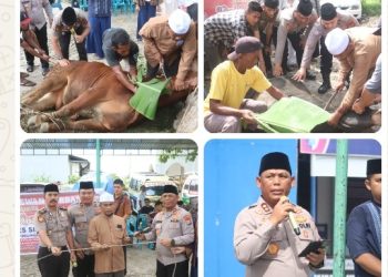 Kapolres Simalungun Pimpin Pemotongan 12 Sapi & 13 Kambing Qurban, 1.200 Paket Daging Disalurkan ke Masyarakat.