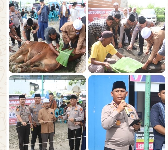 Kapolres Simalungun Pimpin Pemotongan 12 Sapi & 13 Kambing Qurban, 1.200 Paket Daging Disalurkan ke Masyarakat.