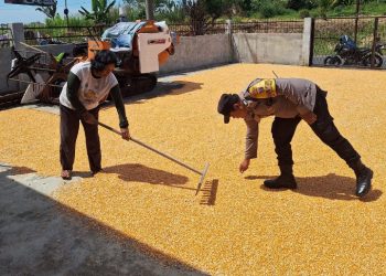 Bhabinkamtibmas Polsek Siantar Marihat Sambangi Petani Binaan.