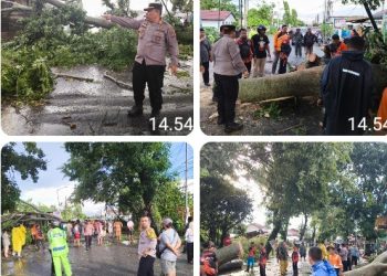 Kapolsek Siantar Marihat Respon Cepat Evakuasi Pohon Tumbang Timpa Atap Seng Rumah & Gubuk Warga.