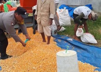 Dukung Ketapang, Bhabinkamtibmas Polsek Siantar Marihat Hadir Bersama Petani Binaaan.