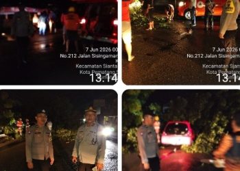 Antisipasi Macet, Polsek Siantar Utara Gatur Lalin Akibat Pohon Tumbang.