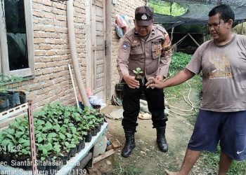 Bhabinkamtibmas, Sambangi Warga Binaan Manfaatkan Pekarangan Rumah Tanam Tanaman Produktif.