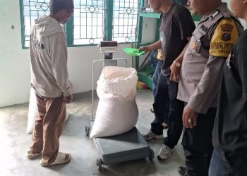 Polsek Siantar Marihat Dampingi Penjualan 450 Kg Hasil Panen Jagung Petani Binaan ke Bulog.