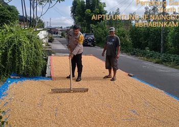 Bhabinkamtibmas Polsek Siantar Selatan Sambangi Warga Jemur Hasil Panen Jagung.