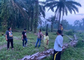 Respon Kilat Call Center 110! Polsek Tanah Jawa Gerak Cepat Tindaklanjuti Laporan Warga Terkait Dugaan Peredaran Sabu.