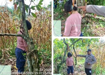 Polsek Jorlang Hataran Sigap Tangani Laporan Warga, Penemuan Jasad Diduga Bunuh Diri di Perladangan Coklat.