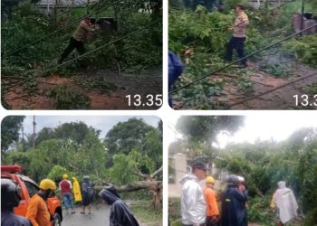 Polsek Siantar Martoba Respon Cepat Bantu Pembersihan Pohon Tumbang Diwilkumnya.