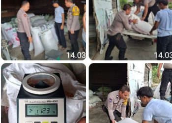 Polsek Siantar Selatan Turun Dampingi Petani Binaan Jual Jagung Ke Bulog Cabang Pematangsiantar.