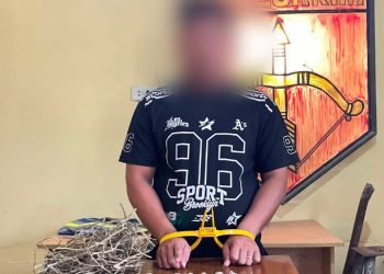Operasi Senyap Polsek Bosar Maligas : Tangkap Pengedar Narkotika Dengan 19 Paket Ganja Siap Edar.