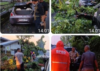 Polsek Siantar Timur Bersihkan Pohon Tumbang di Jalan Danau Maninjau.