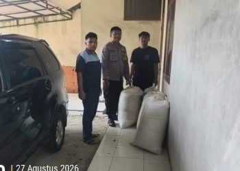 Polsek Siantar Marihat Dampingi Penjualan Jagung Petani Binaan Ke Bulog Cabang Pematangsiantar.