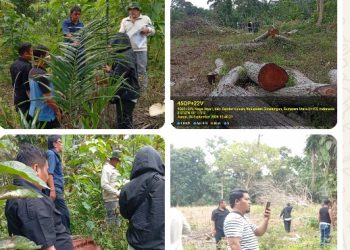 Fast Respon Resmob Polres Simalungun Turun Tangan, Usut Dugaan Pengrusakan Pohon di Perbatasan Lahan Warga.